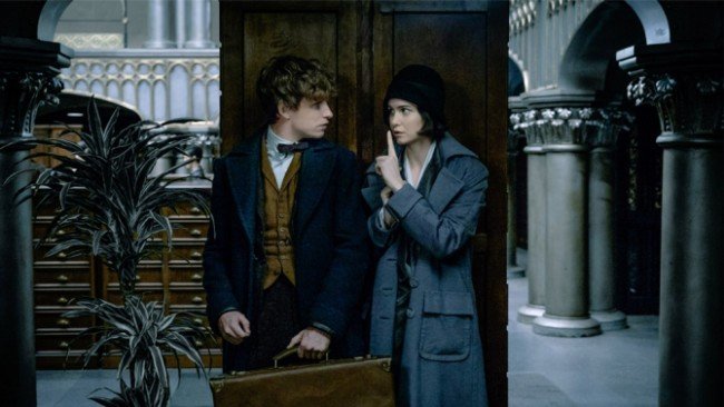 fantastic-beasts-and-where-to-find-them-3
